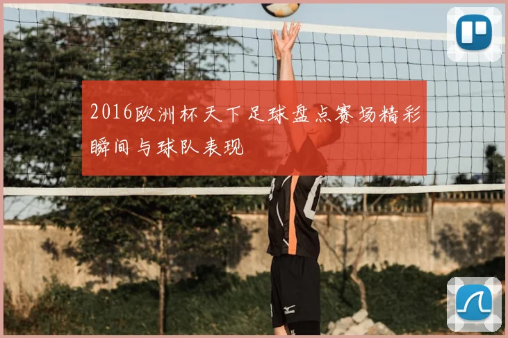 2016欧洲杯天下足球盘点赛场精彩瞬间与球队表现