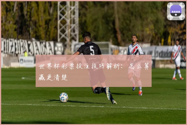 世界杯彩票投注技巧解析：怎么算赢更清楚