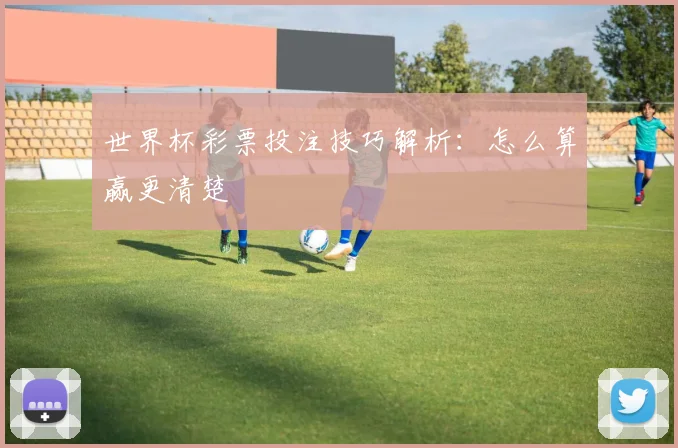 世界杯彩票投注技巧解析：怎么算赢更清楚