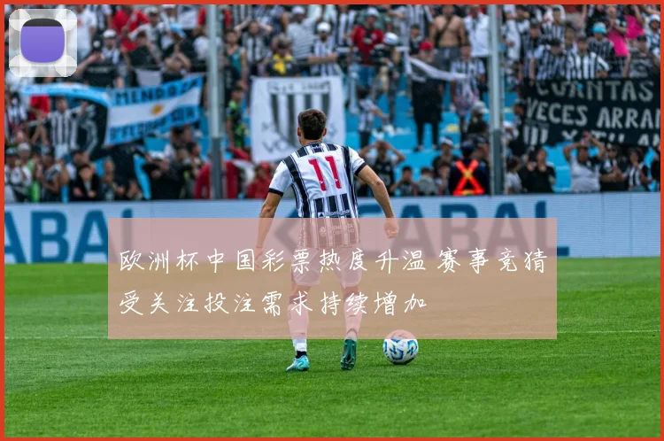 欧洲杯中国彩票热度升温 赛事竞猜受关注投注需求持续增加