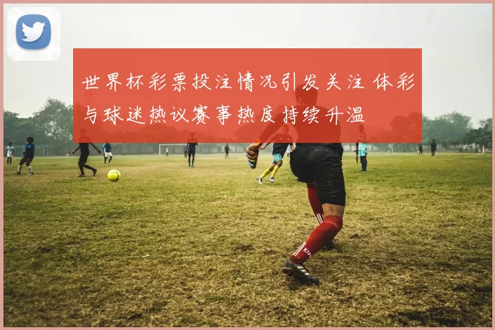 世界杯彩票投注情况引发关注 体彩与球迷热议赛事热度持续升温