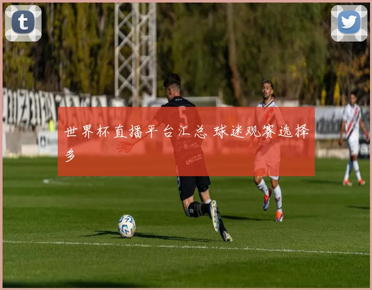 世界杯直播平台汇总 球迷观赛选择多
