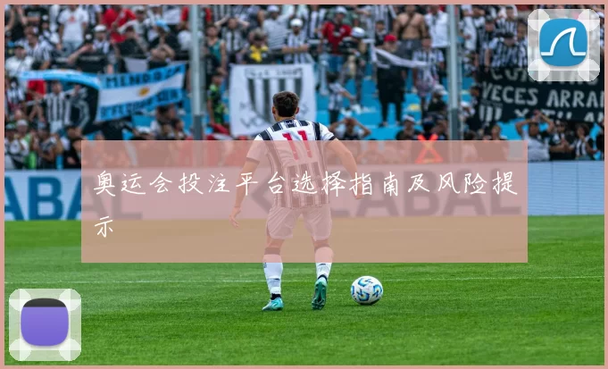 奥运会投注平台选择指南及风险提示