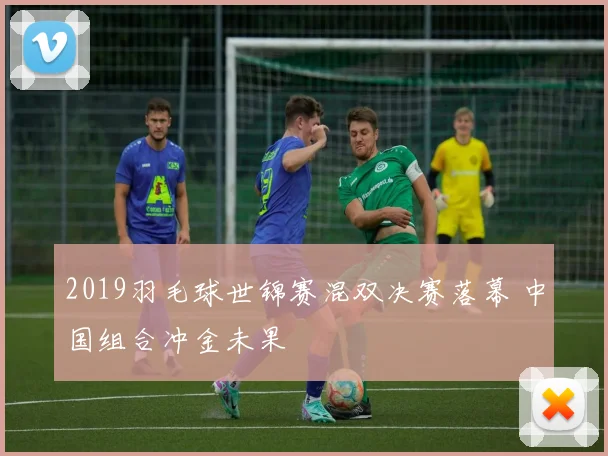2019羽毛球世锦赛混双决赛落幕 中国组合冲金未果